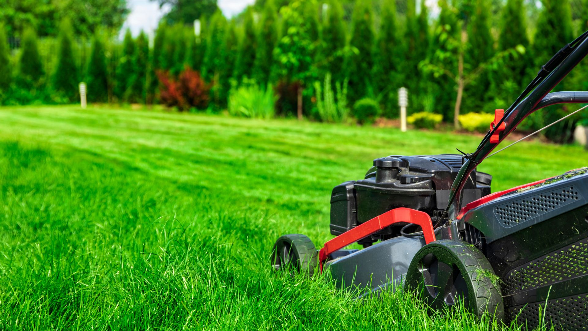Lawnmower cutting green grass with trees and garden in background