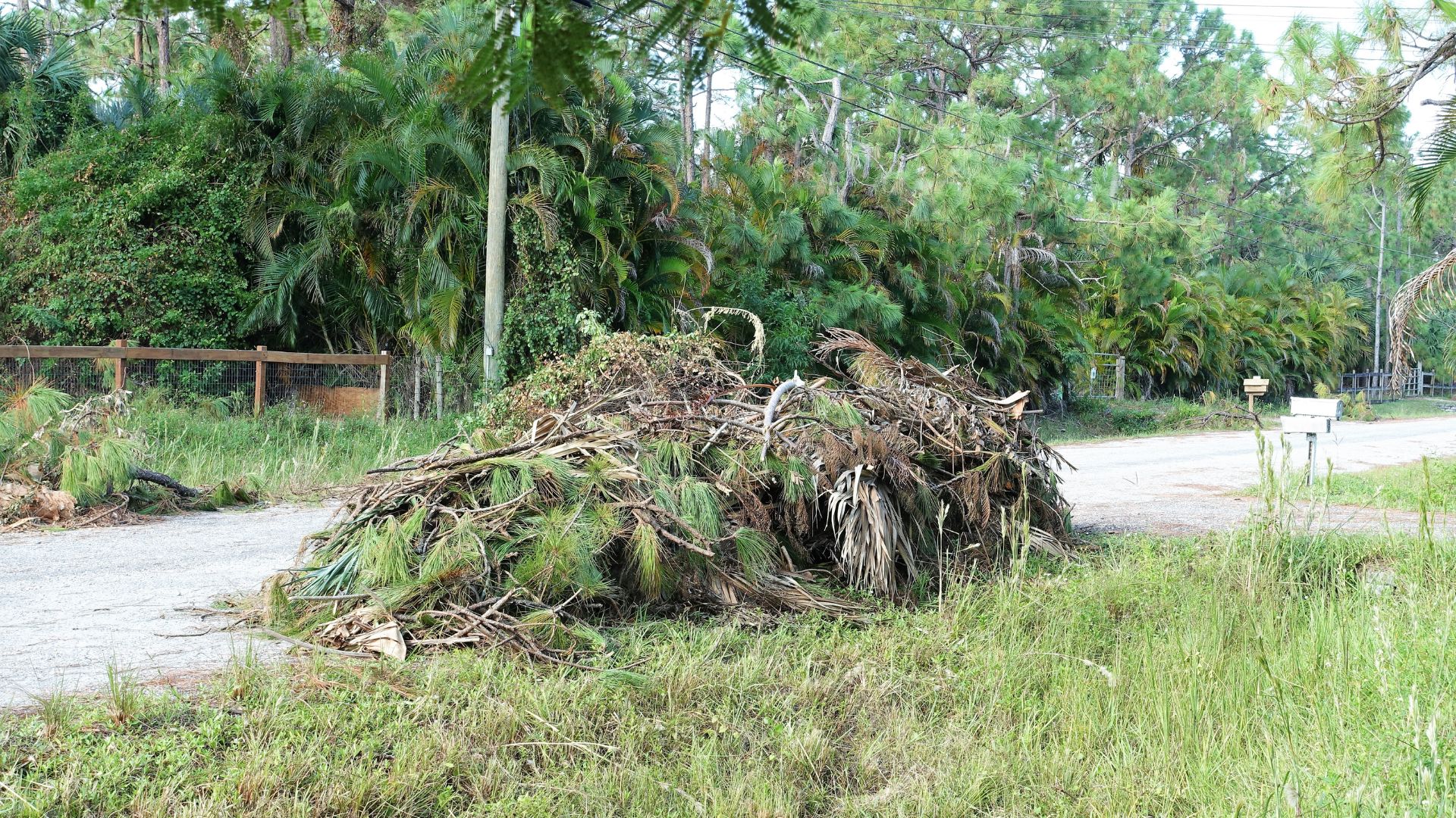 Large pile of yard debris and fallen branches near tropical forest and fence