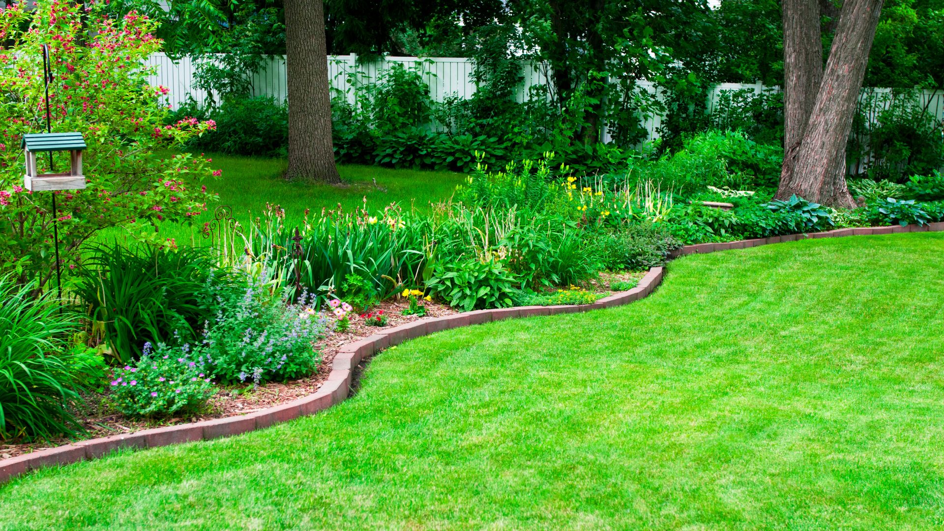 Lush garden with curved flower beds, green lawn, and white fence