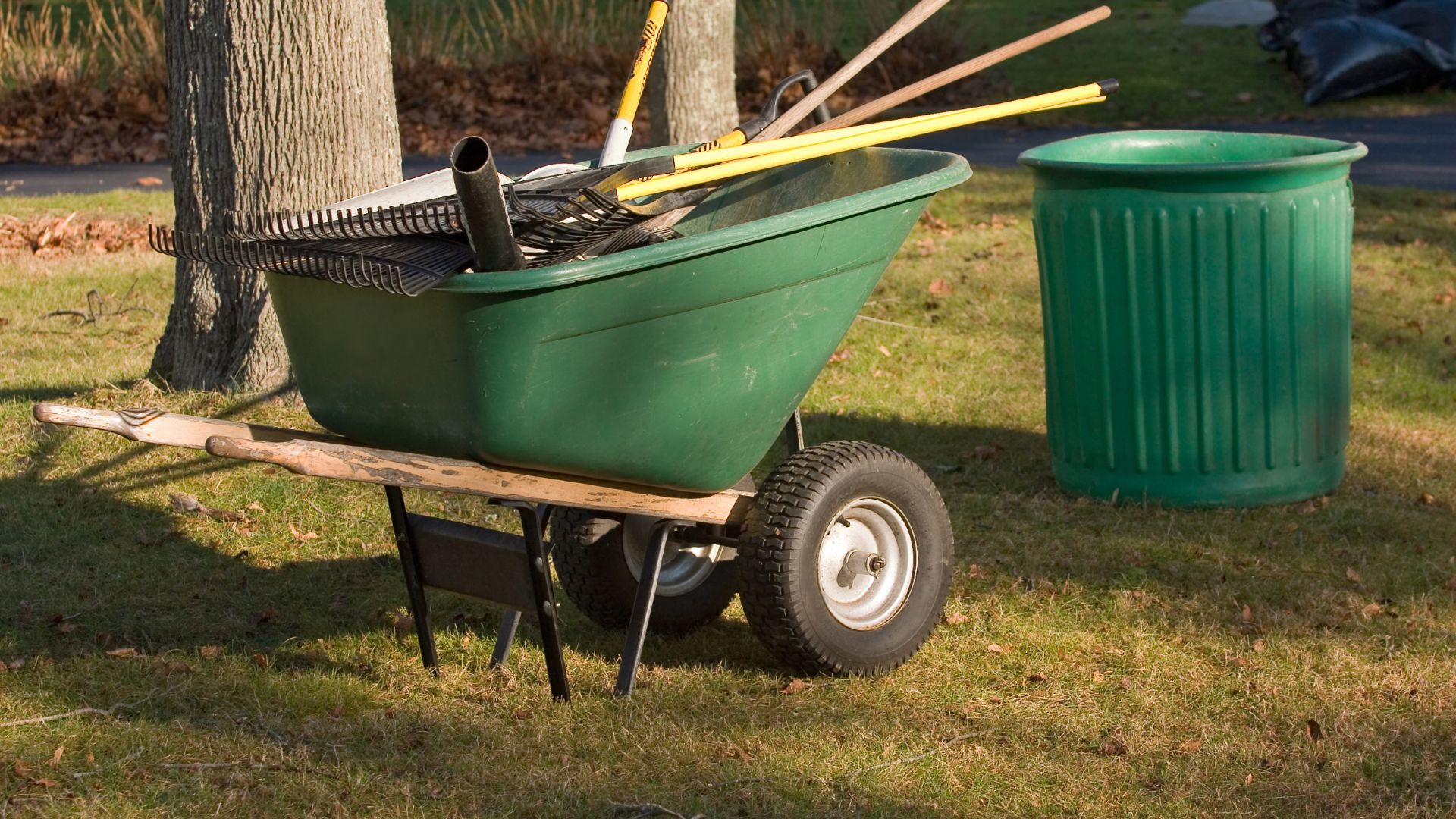 Green wheelbarrow filled with garden tools on grassy lawn near tree
