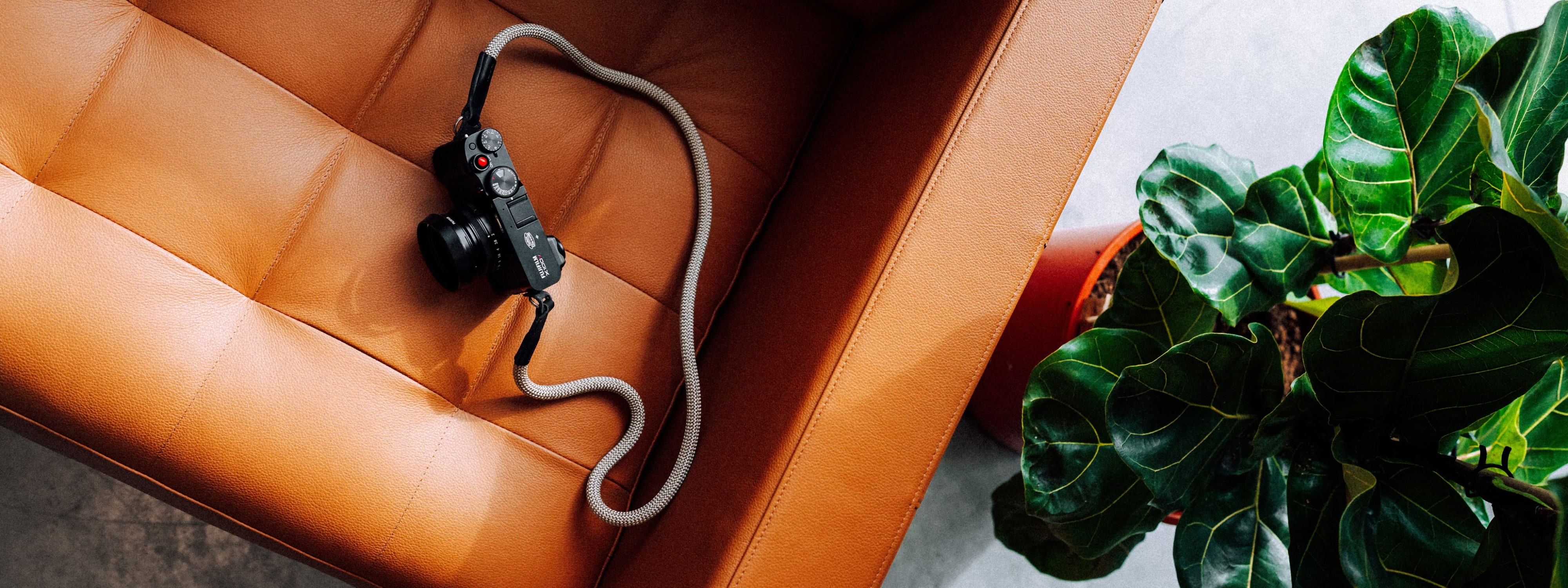 Camera with twisted cord resting on leather seat near potted green plant